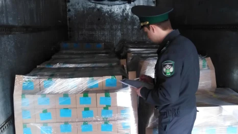 Через Астраханскую область не пропустили 6 тонн икры карася