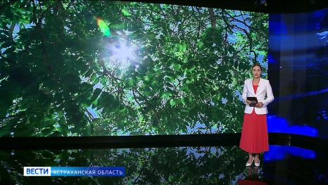 Сегодня в Астраханской области самый жаркий день этой недели