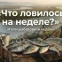 Рубрика: "Что ловилось на неделе?"