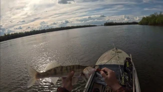 Что ловилось на неделе? Эфир от 17.04.2026