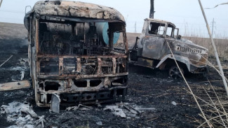 В Астраханской области в ДТП из-за лошадей сгорели микроавтобус и грузовик