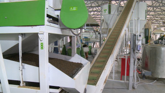 В Астраханской области работает завод по производству кормов для рыб