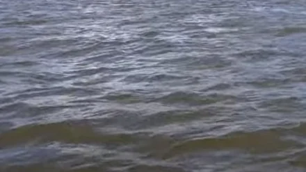 В Астраханской области 16-летний подросток утонул в реке Ашулук