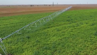 В Астраханской области фермеры собрали 2 млн тонн овощей