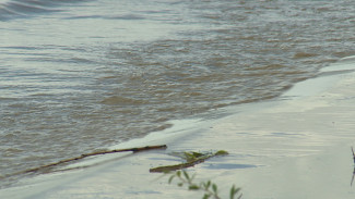 Астраханская область готовится к зимней межени
