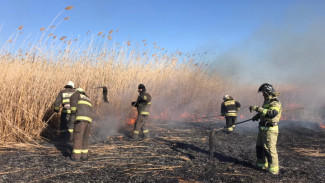 На место пожара в Астраханском заповеднике прибыла дополнительная группировка МЧС