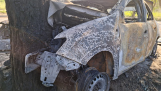 В Астрахани авто врезалось в дерево и загорелось, пострадали 2 человека