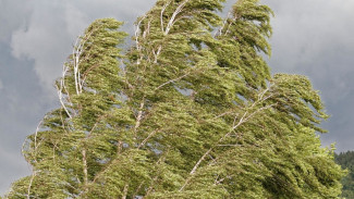 МЧС предупреждает об усилении ветра 21 мая в Астраханской области