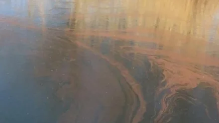 В Астрахани выявлено загрязнение акватории ерика Солянка