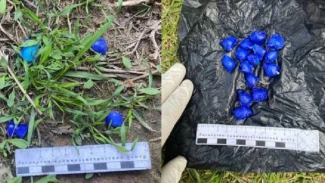 В Астрахани задержали иностранца с крупной партией мефедрона