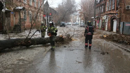 В Астраханской области 87 населённых пунктов остаются без света после непогоды