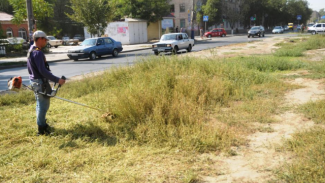 В Астрахани продолжают бороться с сорной растительностью 