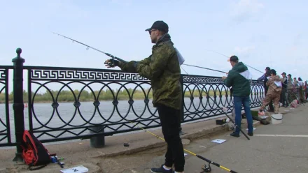 В Астрахани в 2022 году фестиваль “Вобла” пройдёт на Петровской набережной