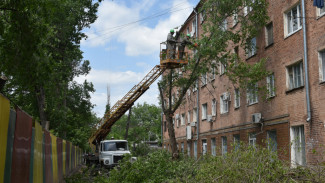В Астрахани на улице Ляхова опилили аварийные деревья перед ремонтом