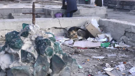 В Астрахани рынок Большие Исады очищают от мусора