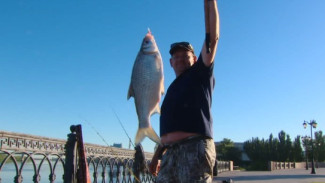 В Астрахани прошёл последний день отборочных туров фестиваля “Вобла 2020”