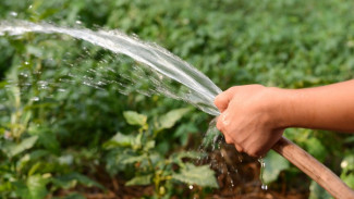 В Астраханской области женщину убило током во время полива огорода
