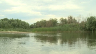 Астраханская природоохранная прокуратура вернула участок в собственность государства