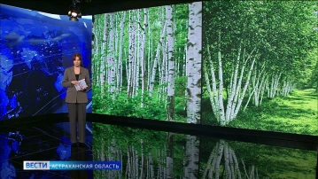 В России зарегистрировали уникальную вакцину от аллергии на пыльцу берёзы "Аллергарда"