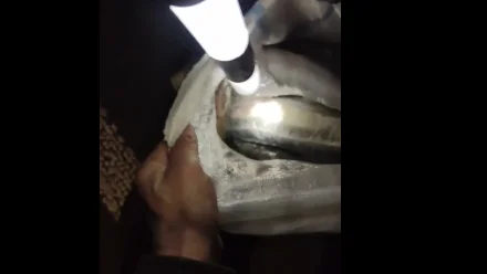 Иногородний пенсионер хотел вывезти из Астраханской области краснокнижную рыбу и икру