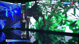 В Астраханской области случаев заражения вирусом «Нипах» не выявлено