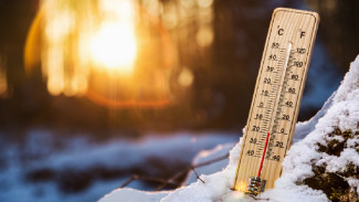 В пяти районах Астраханской области ожидается до 20 градусов мороза