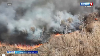 В двух астраханских лесничествах объявили пожароопасный сезон