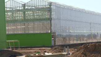 В Астраханской области завершают строительство крупного тепличного комплекса