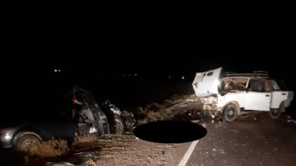 В ДТП на подъезде к астраханскому селу Яндыки погиб 78-летний водитель