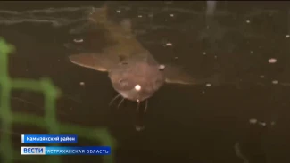 Председатель Думы Астраханской области посетил Камызякский район с рабочим визитом