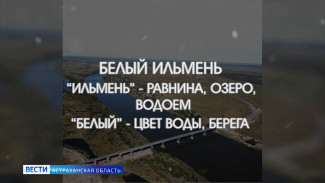 Рубрика «Слова» : цветная карта