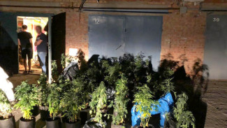 Астраханцев осудят за организацию нарколаборатории в гараже