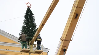 На севере Астраханской области начали устанавливать новогодние ёлки