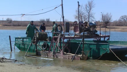 Проект приказа о запрете вылова воблы в Астрахани проходит обсуждение