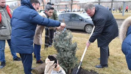 Игорь Бабушкин и Мария Пермякова высадили деревья в обновлённом сквере Коновалова