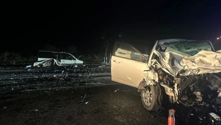 Под Астраханью найден владелец коровы, которая стала причиной смертельного ДТП