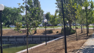 В Астрахани приступили к озеленению Лебединого озера