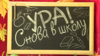 В начале нового учебного года для учащихся проведут диагностику знаний 