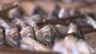 Астраханец незаконно продал немаркированную рыбу на 3,7 млн рублей