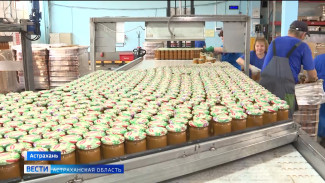 Где в Астраханской области начинается путь будущей кабачковой икры
