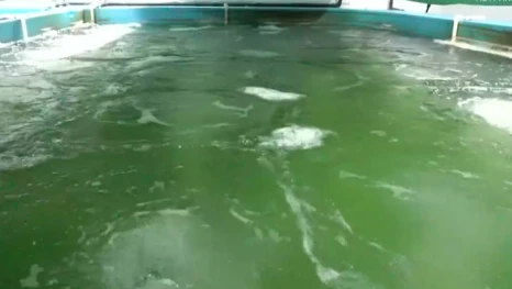 Как очищают воду в Астраханской области