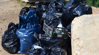 C начала 2021 года с улиц Астрахани вывезли более 6 тысяч тонн мусора