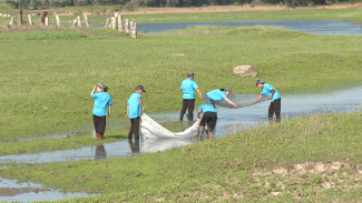 Юные астраханцы спасли около 140 млн рыбной молоди