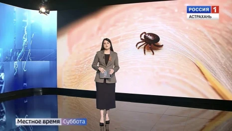 В Астраханской области клещи активизировались раньше обычного