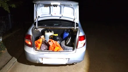 В Астраханской области перевозили краснокнижную рыбу