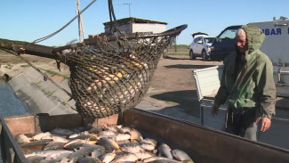 Искусственные водоёмы Астрахани обеспечивают рыбой весь юг России