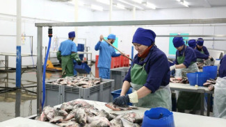 В Астраханской области наращивают добычу и переработку рыбы