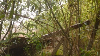 Под Астраханью незаконно ограничили доступ к протоке