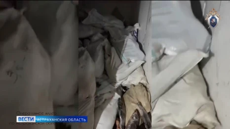 В Астраханской области следователи раскрыли схему незаконного оборота рыбной продукции