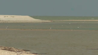 Как прошла высадка участников экспедиции «Каспийские врата» на остров Малый Жемчужный